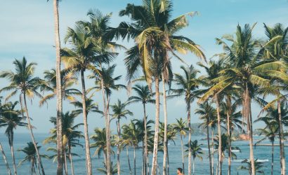 pexels-photo-1005417