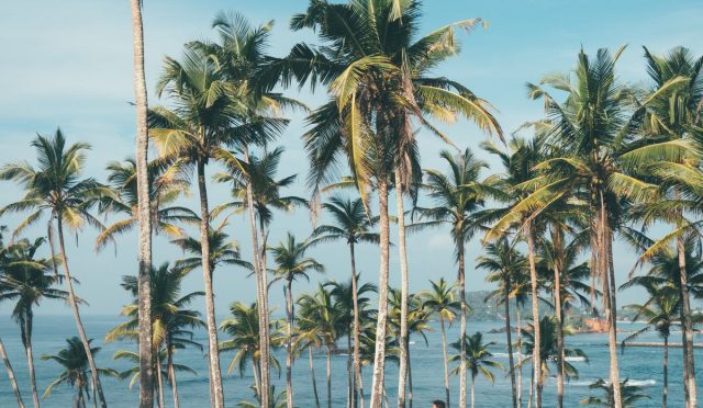 pexels-photo-1005417