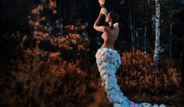 pexels-photo-1104114