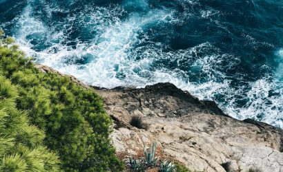 pexels-photo-1690379